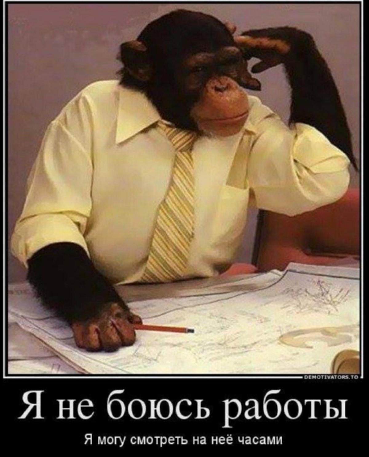 Прикольные объявления в офисе