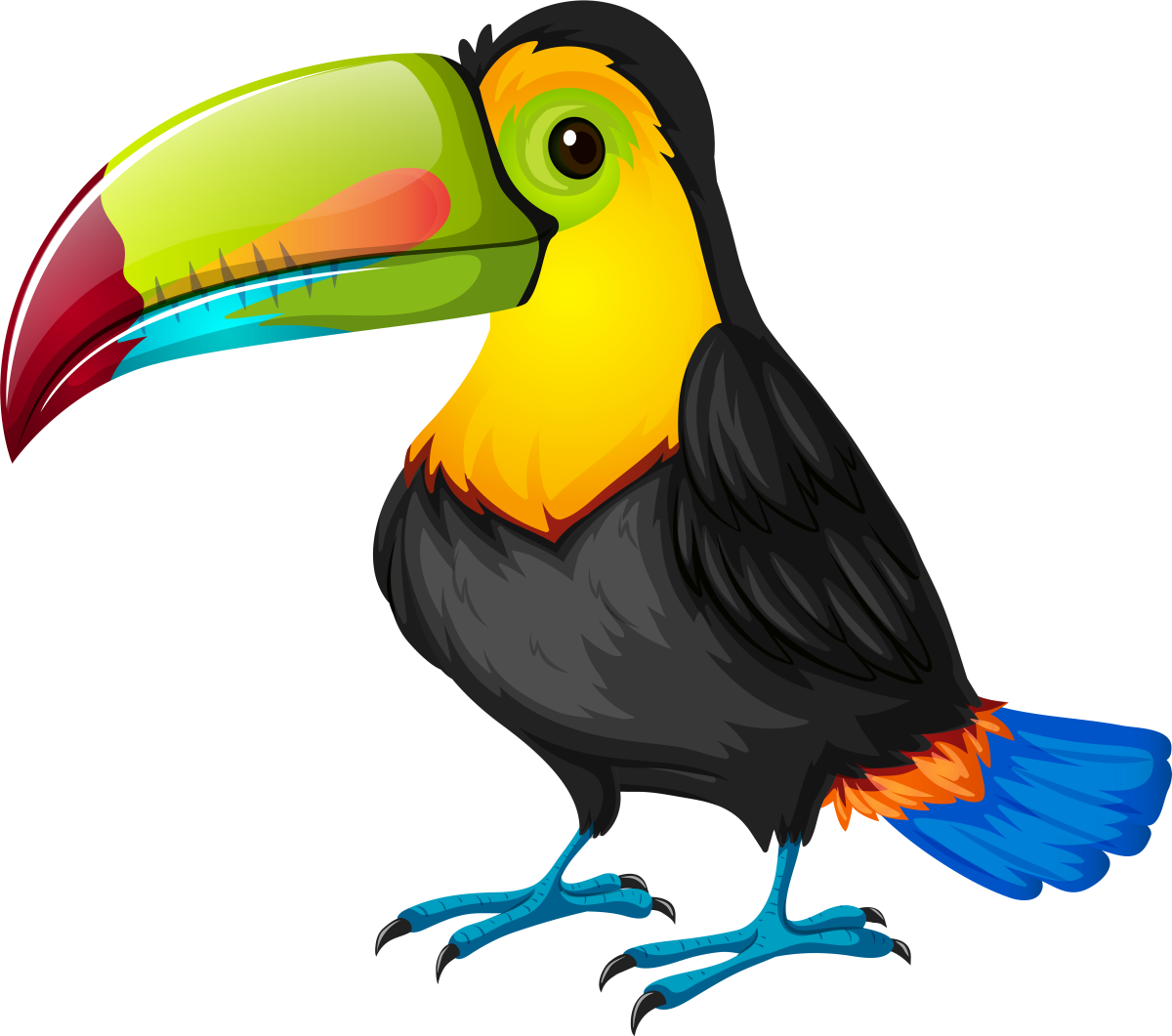 Toucan cartoon