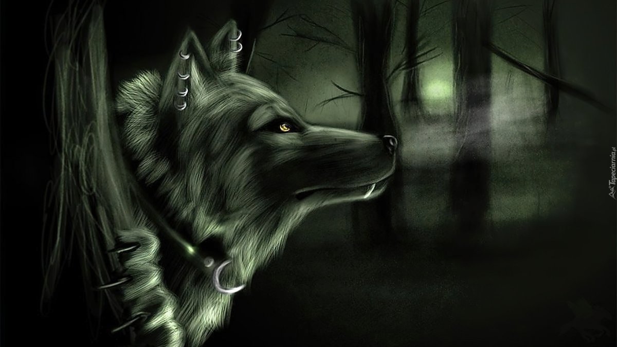 Оскал волка на черном фоне