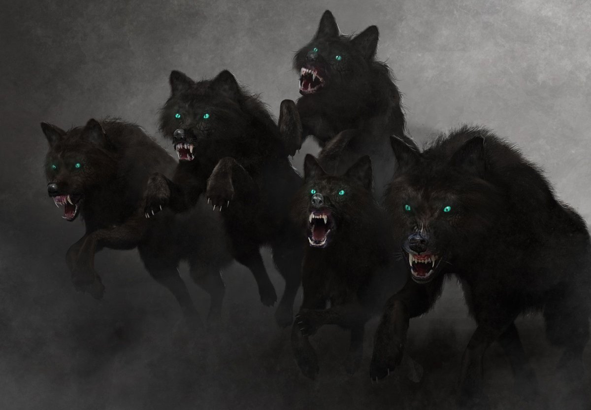 Белая волчица и черный волк