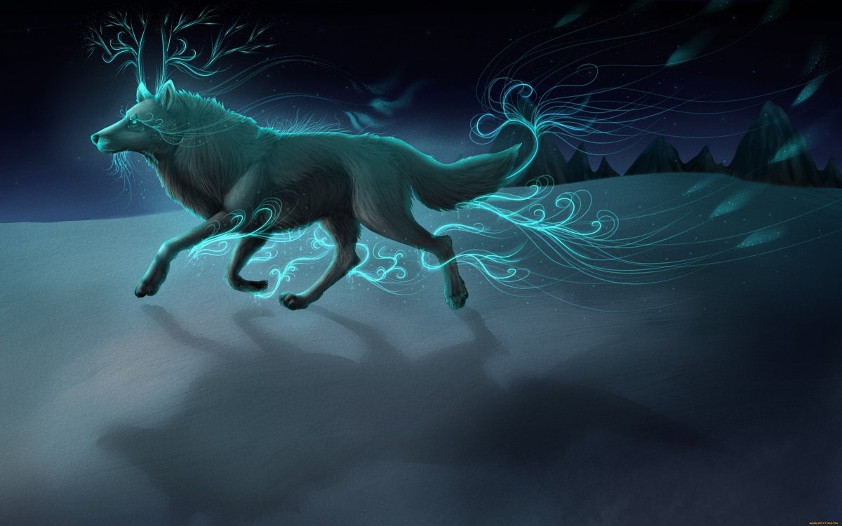 «Оборотень - a Werewolf boy» АРИМЕ