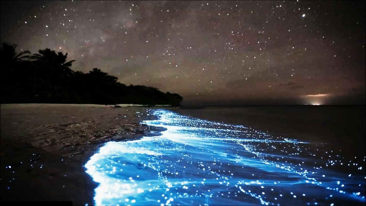 Остров Ваадху Мальдивы