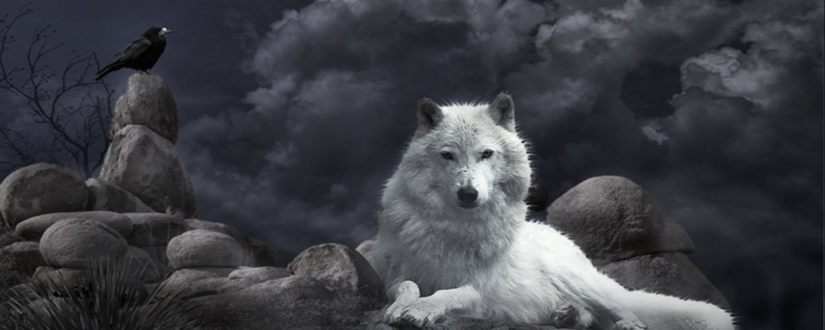 Арты Волков