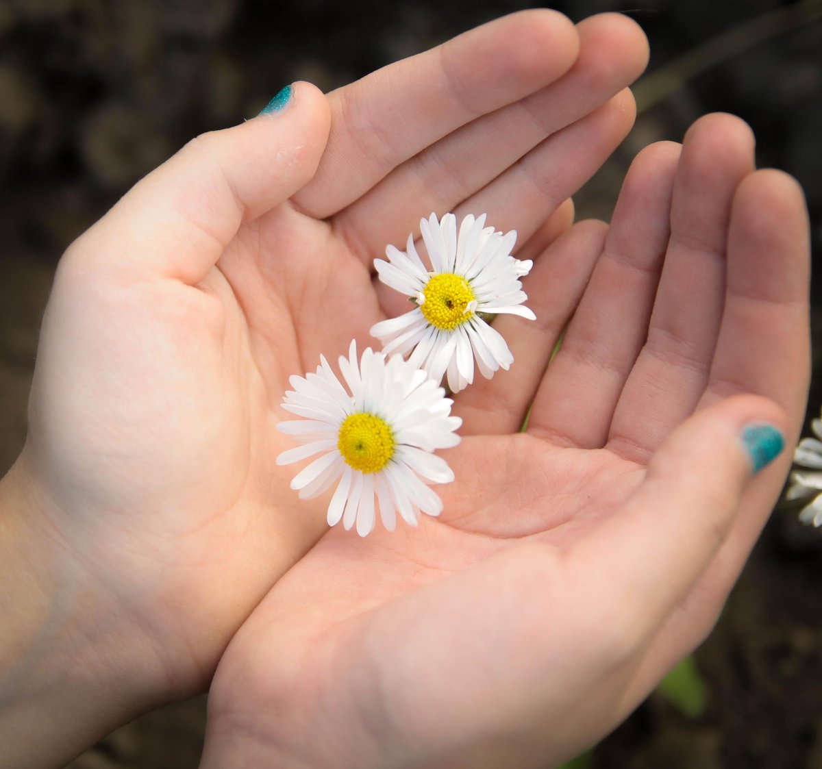 Мужчина с ромашками