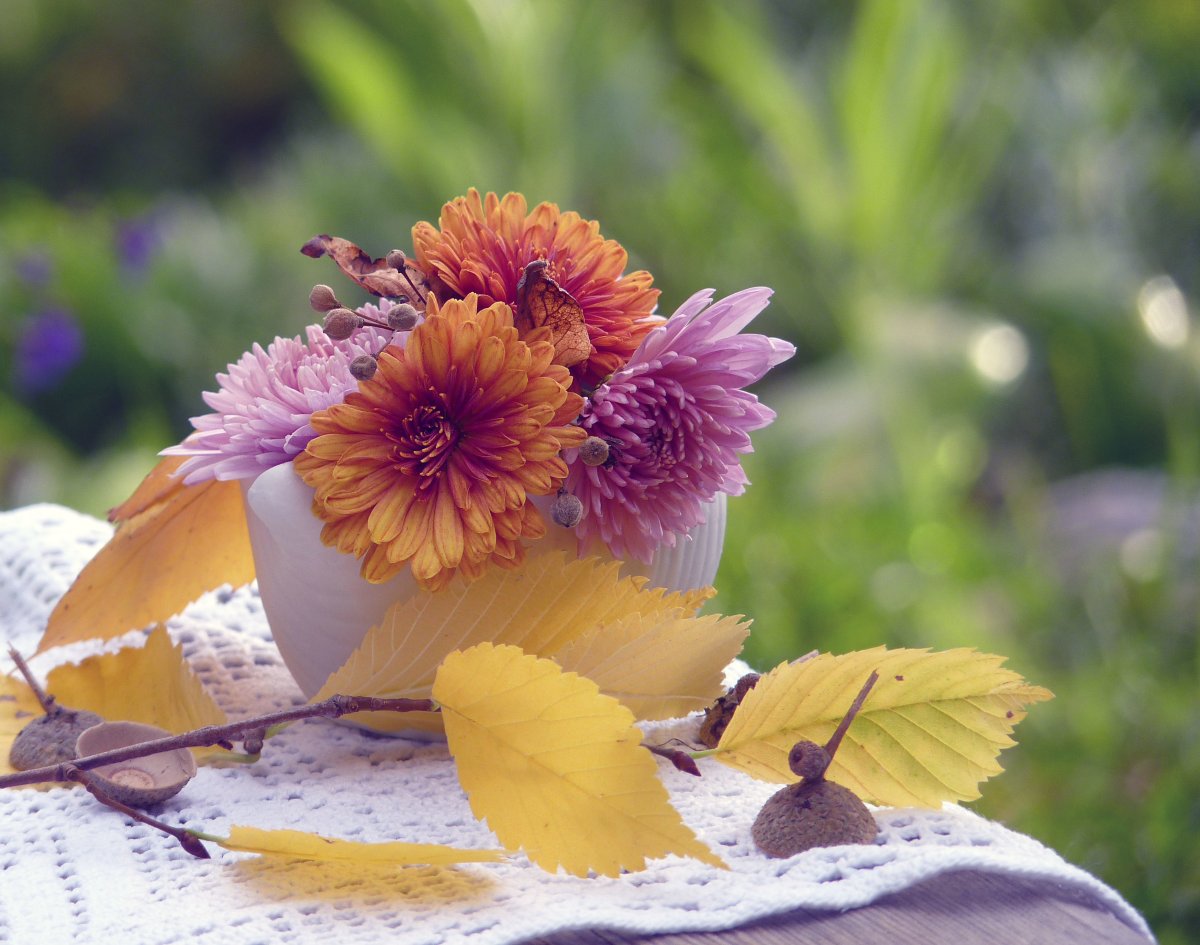 Красивый оранжевый букет