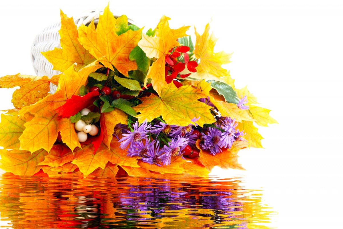 Сентябрьские цветы