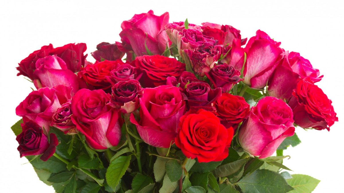 Спасибо Марина