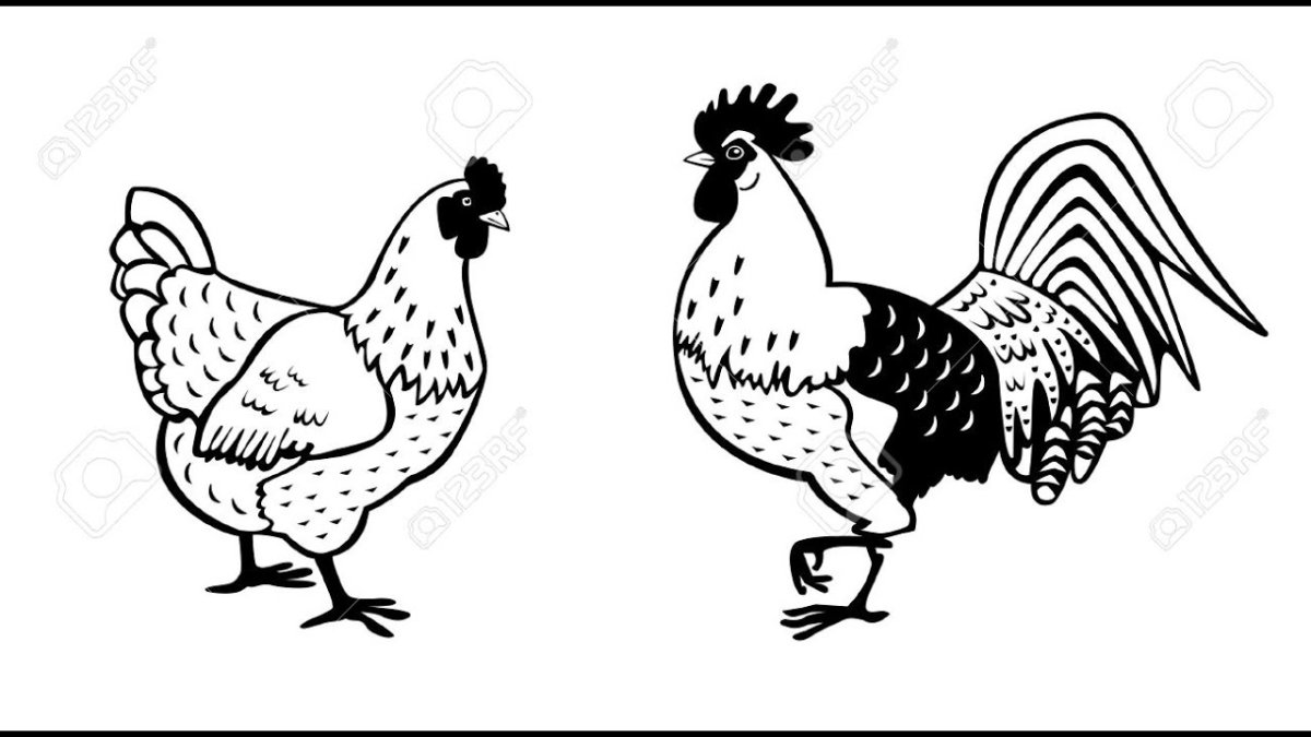 Разукрашка цыплята антистресс