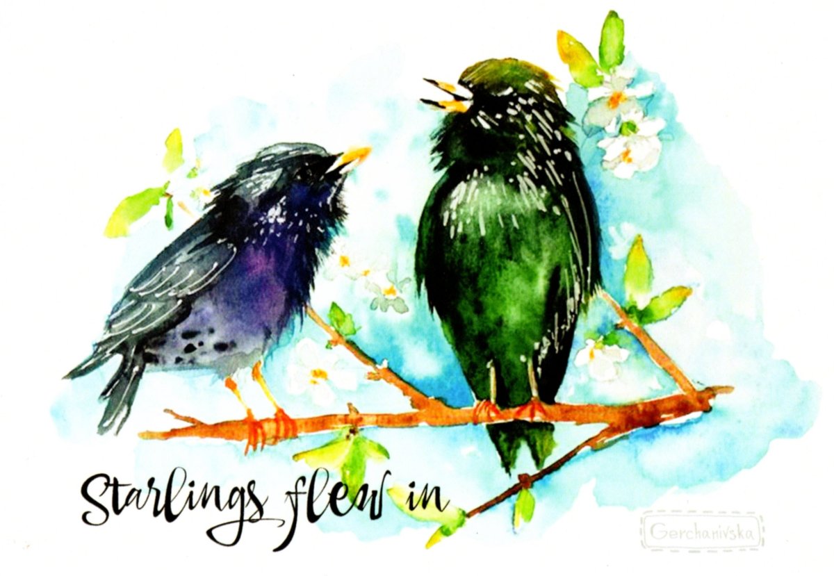 Геннадий Снегирёв скворец иллюстрации