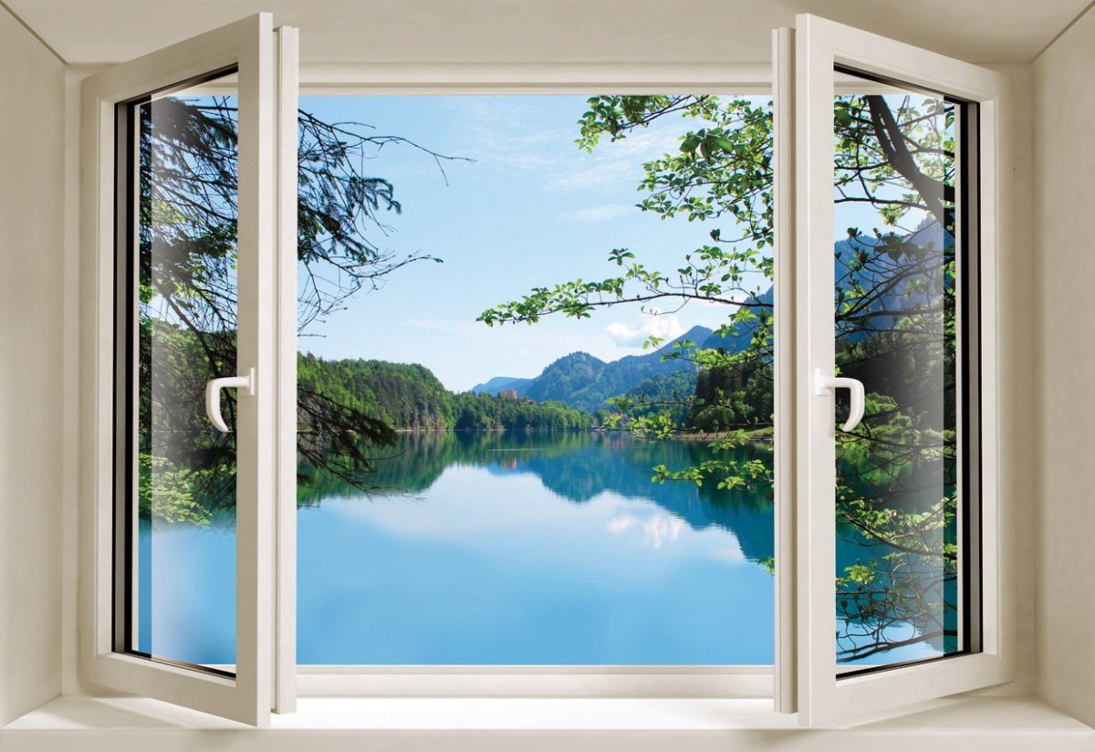 Окно с видом на природу