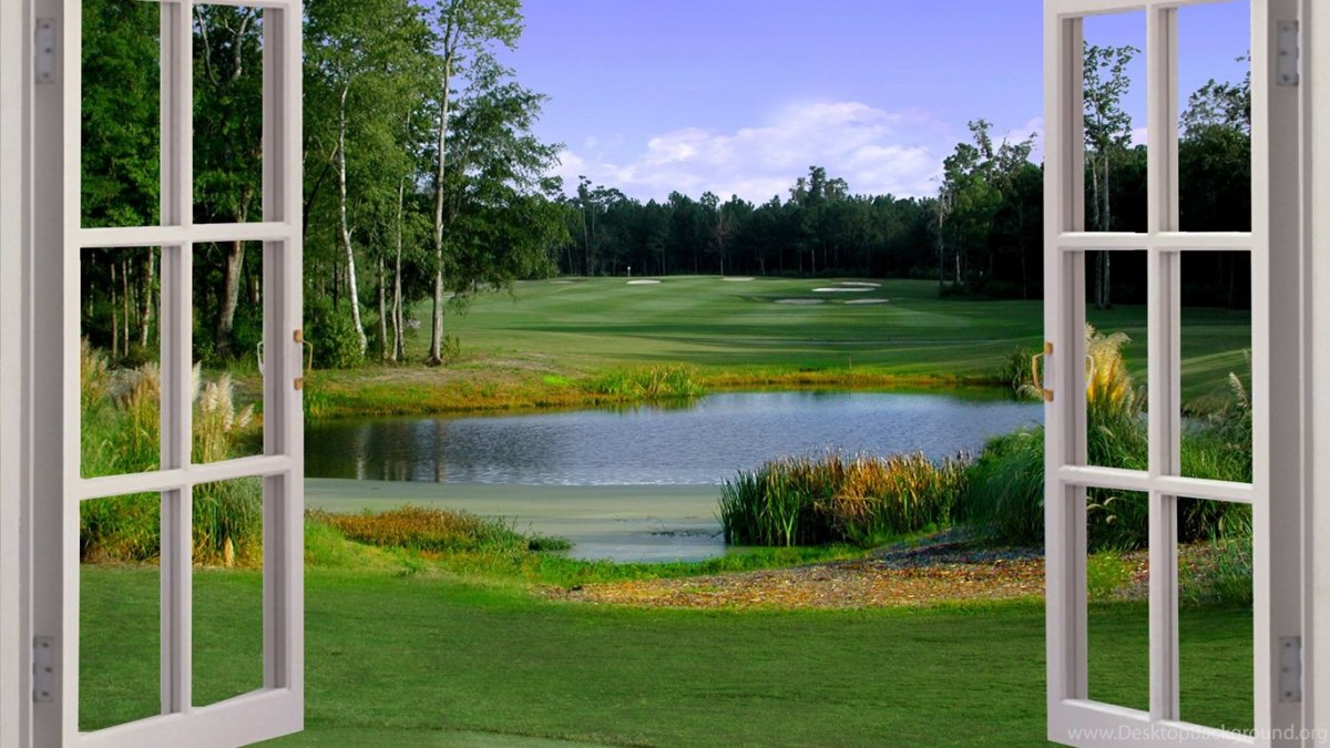 Окно в природу