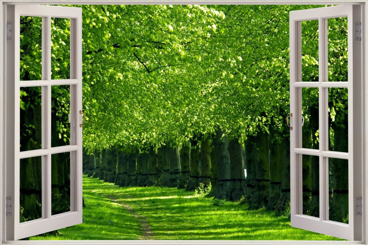 Фотообои окно