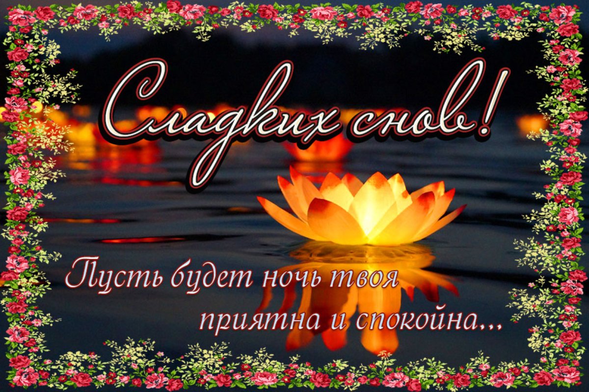 Доброй ночи четверга