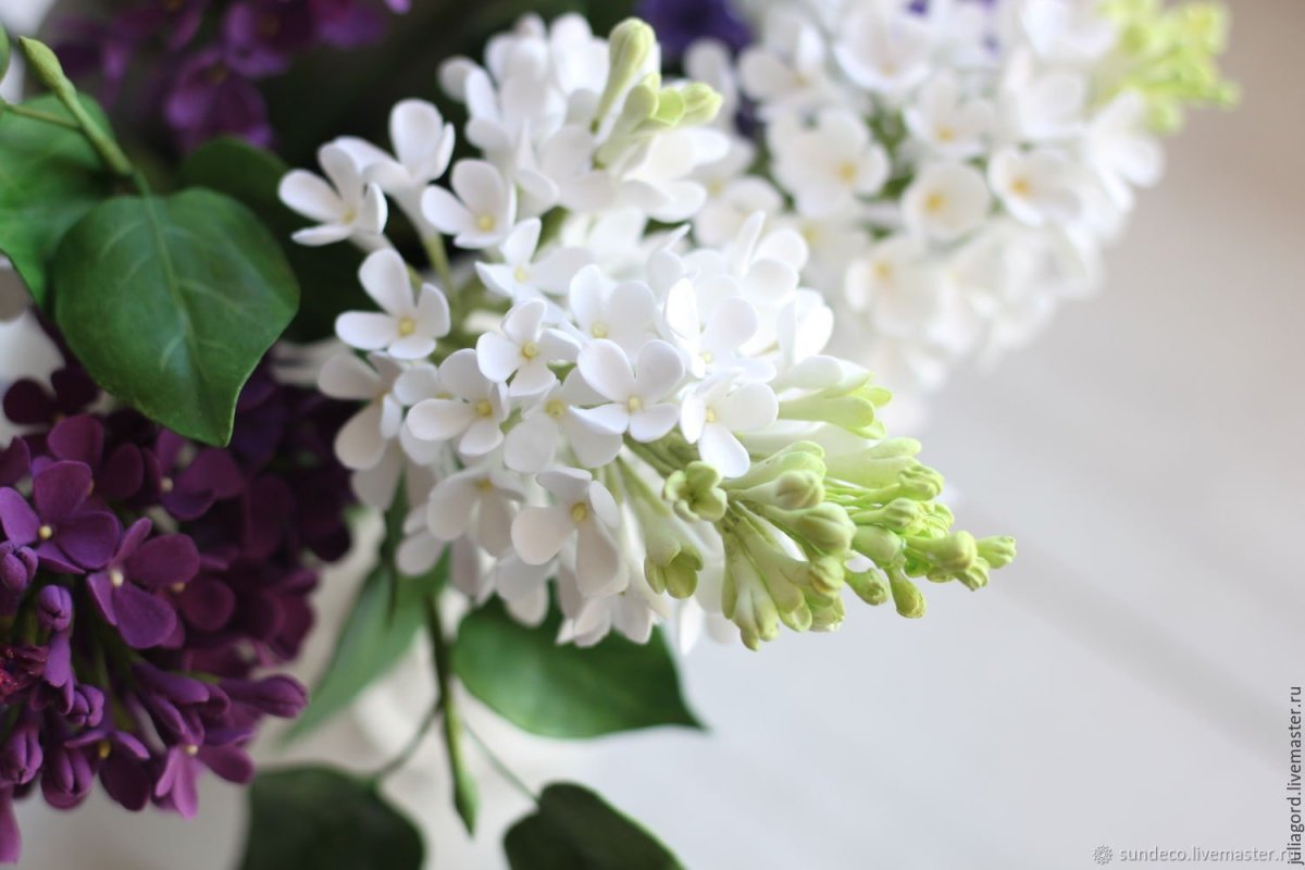 Букет "белая сирень"