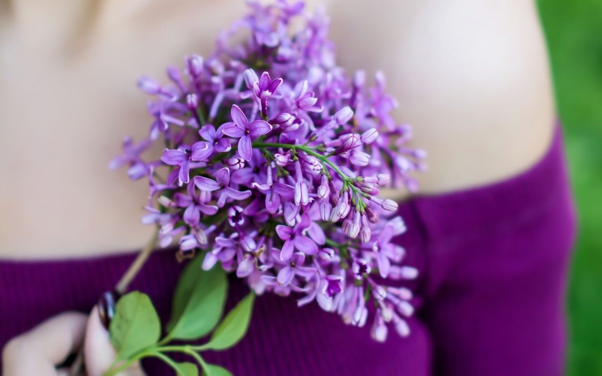 Девушка с веткой сирени