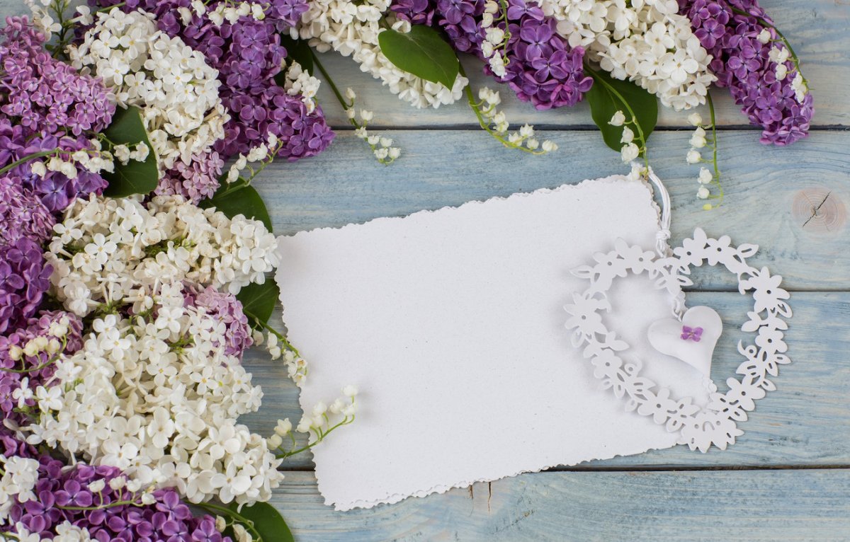 Открытки с сиренью