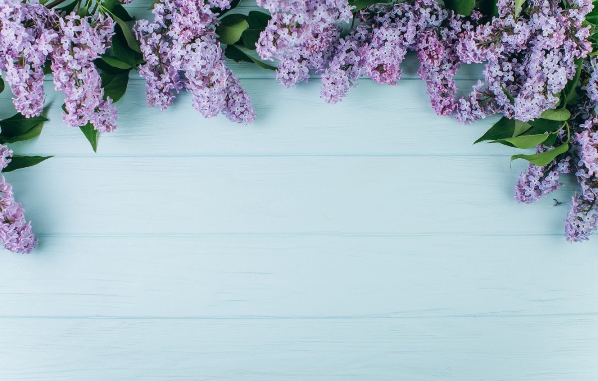 Фотофон цветы Весна