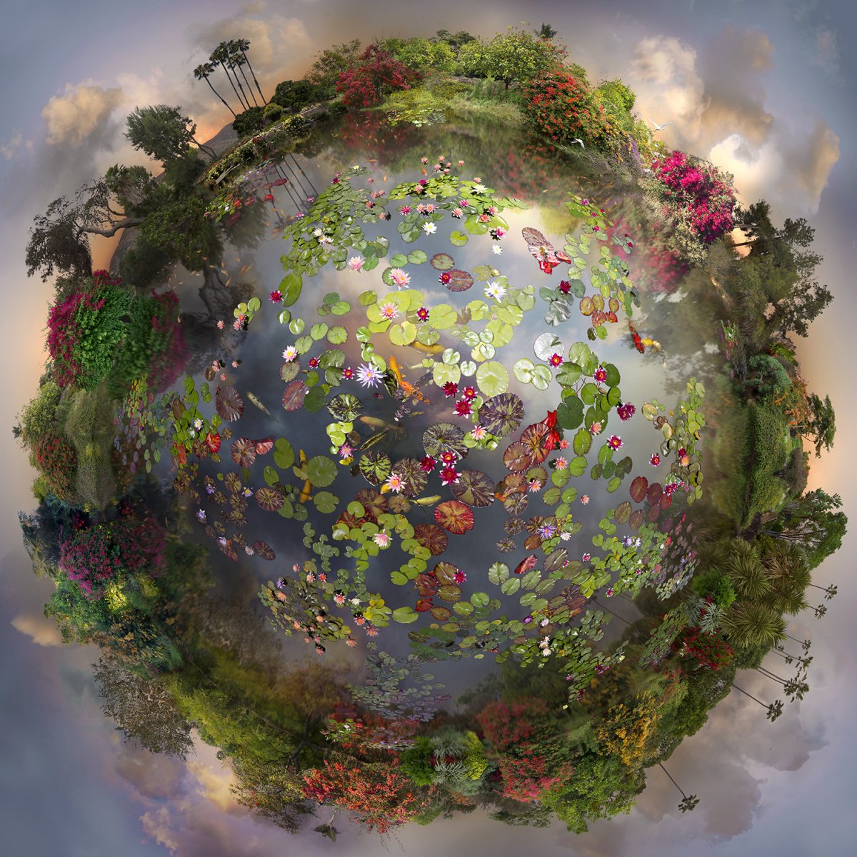 Леди Гайя земля