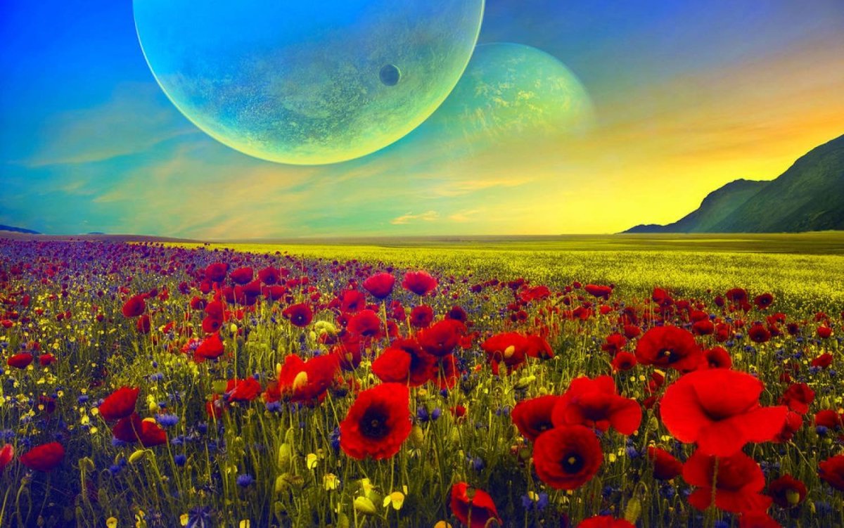 Цвети земля