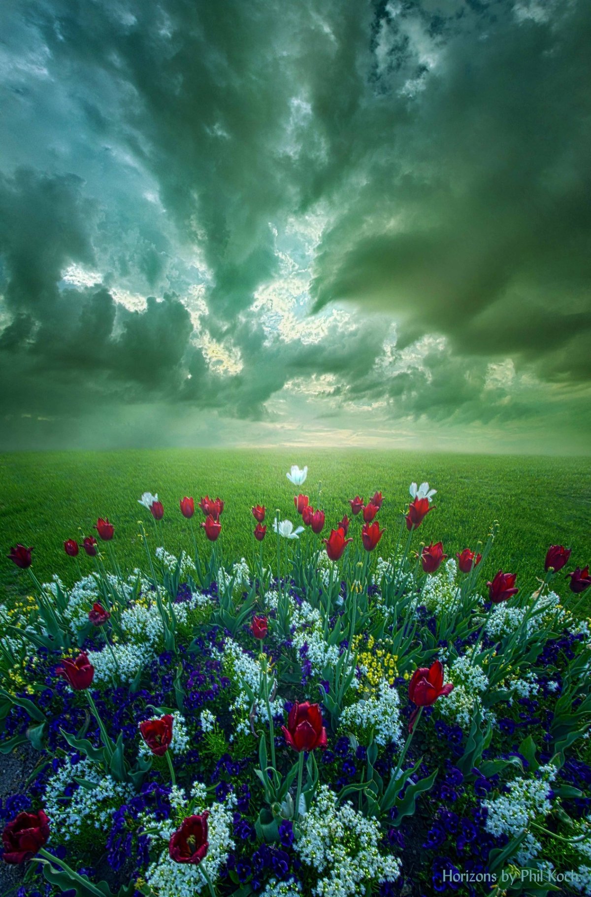 Земля в цветах