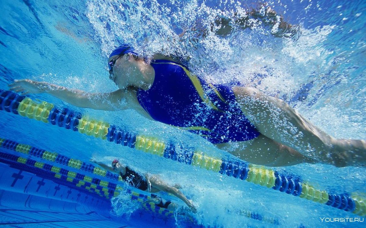 Плавание кролем соревнования