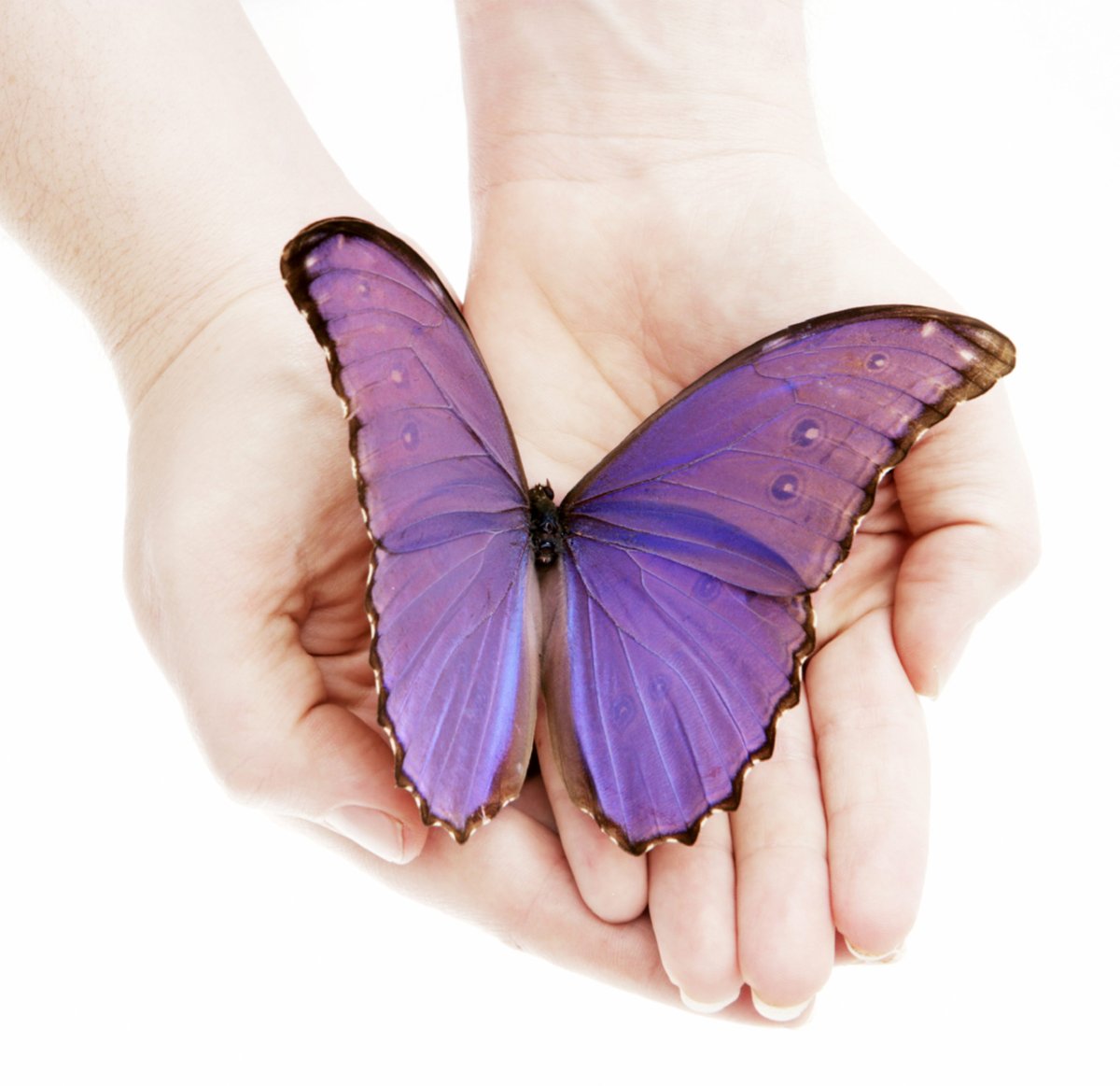 Бабочка на руке фото красивые