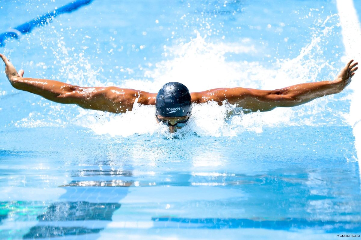 Стиль плавания Баттерфляй