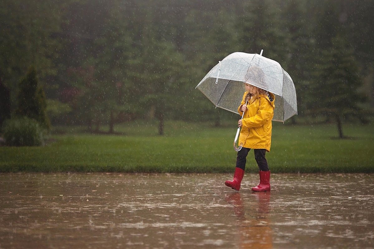 Картина дождливая осень для детей