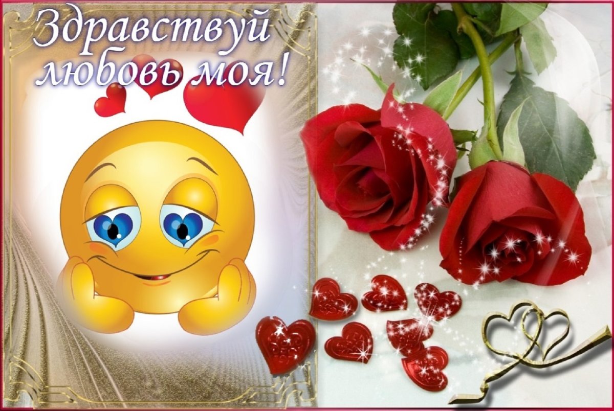 Здравствуй любовь моя