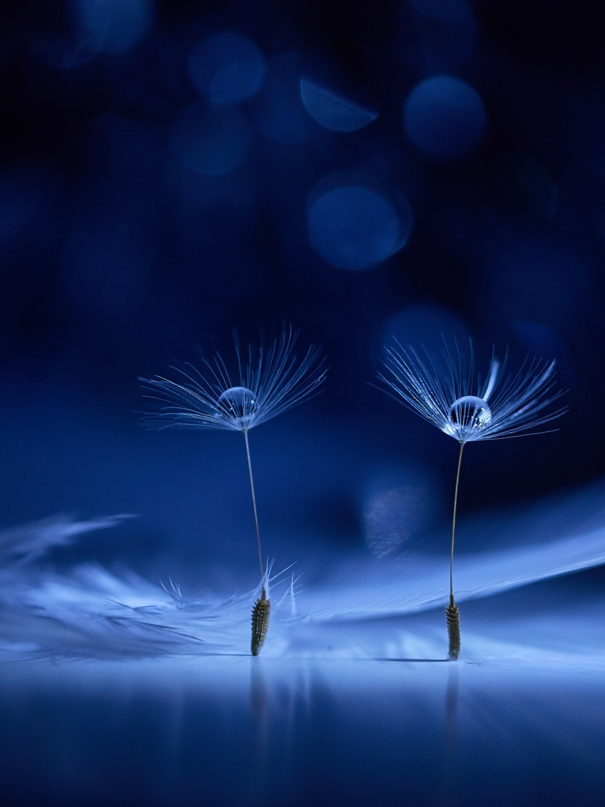 Спокойнойночки мужчине