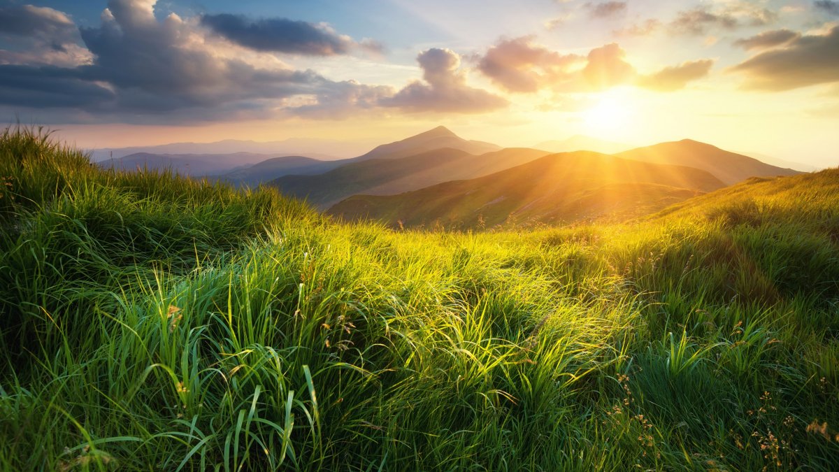 Гармоничный пейзаж