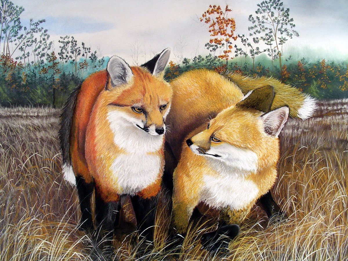 Лисенок живопись