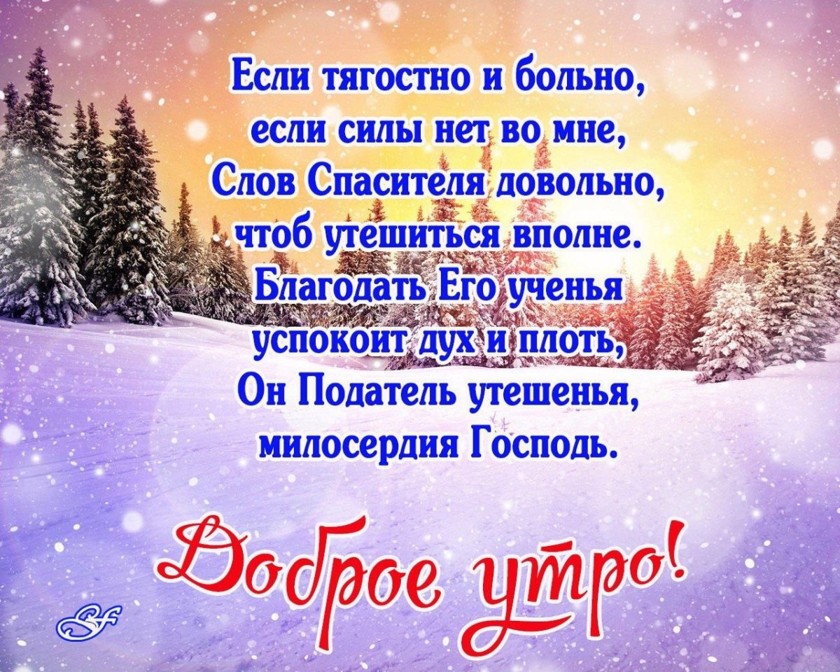 Зимнее настроение