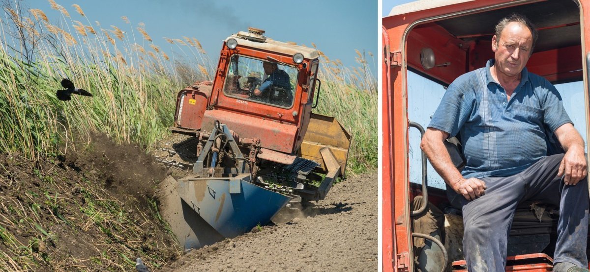 Колхозник на тракторе
