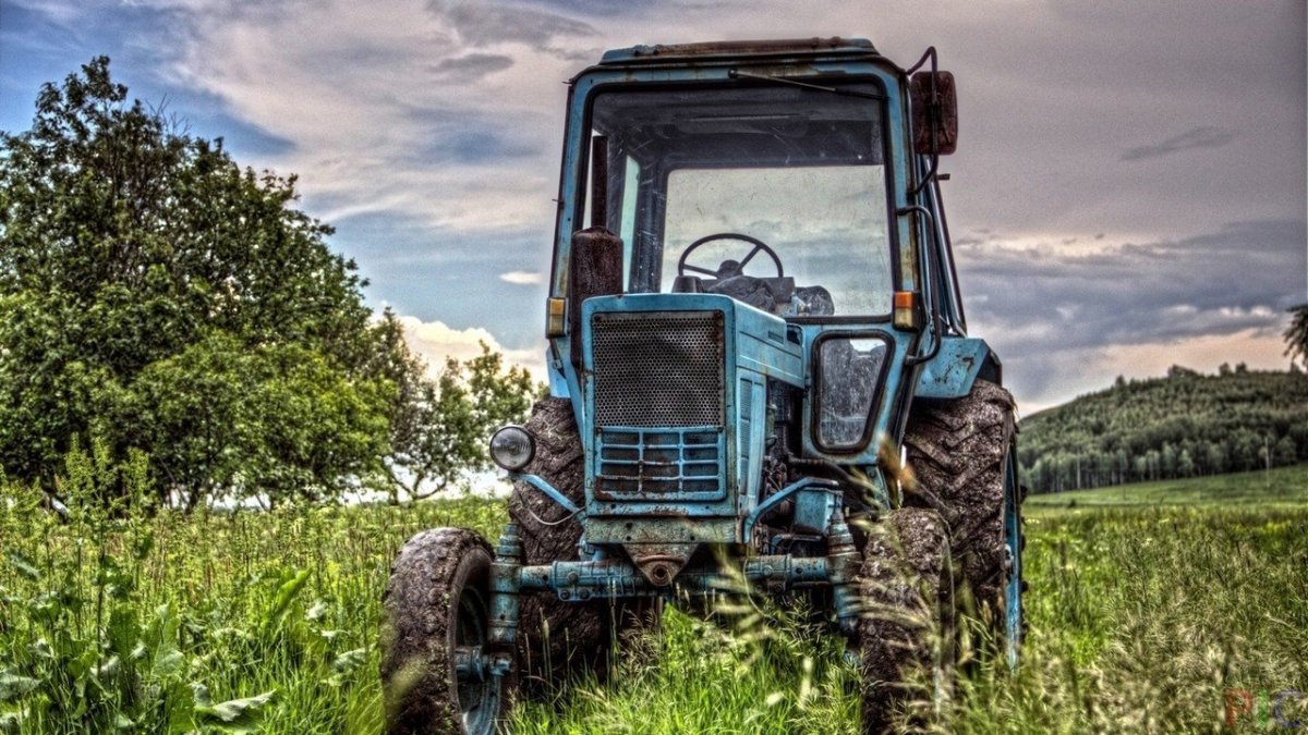 МТЗ 80 В деревне