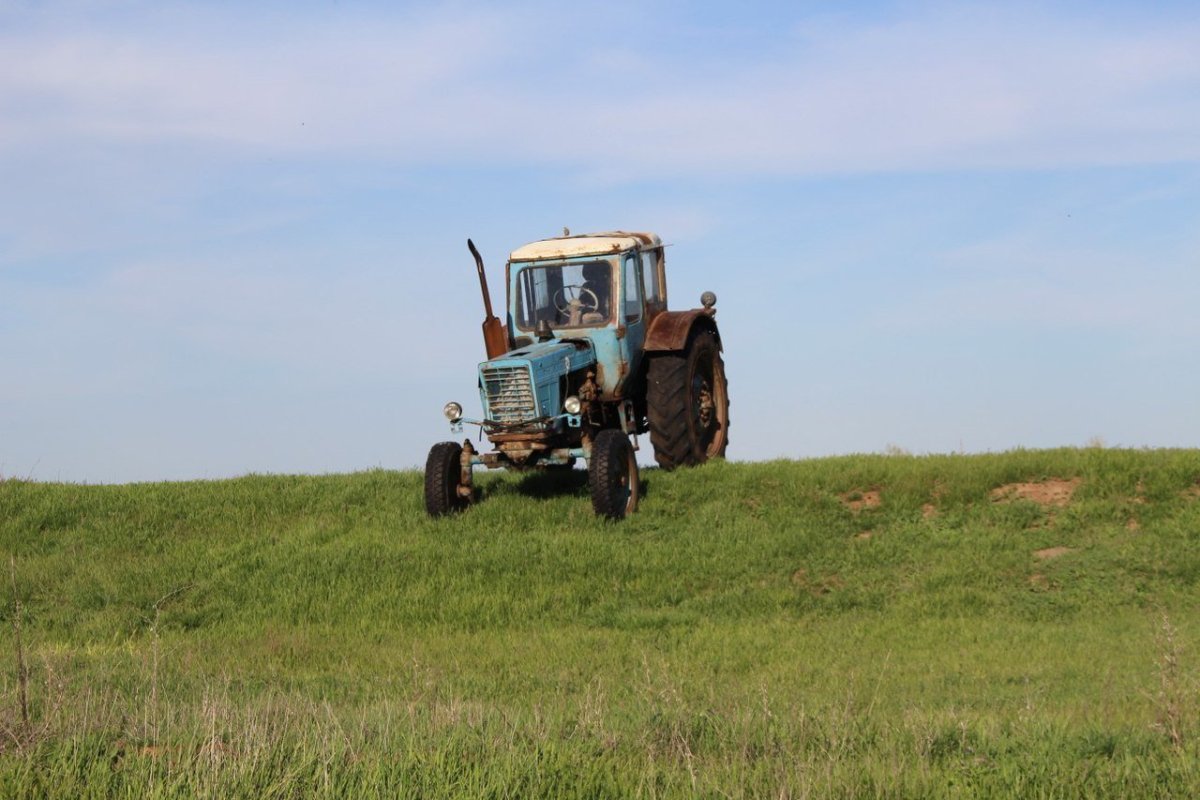 Старый трактор в поле