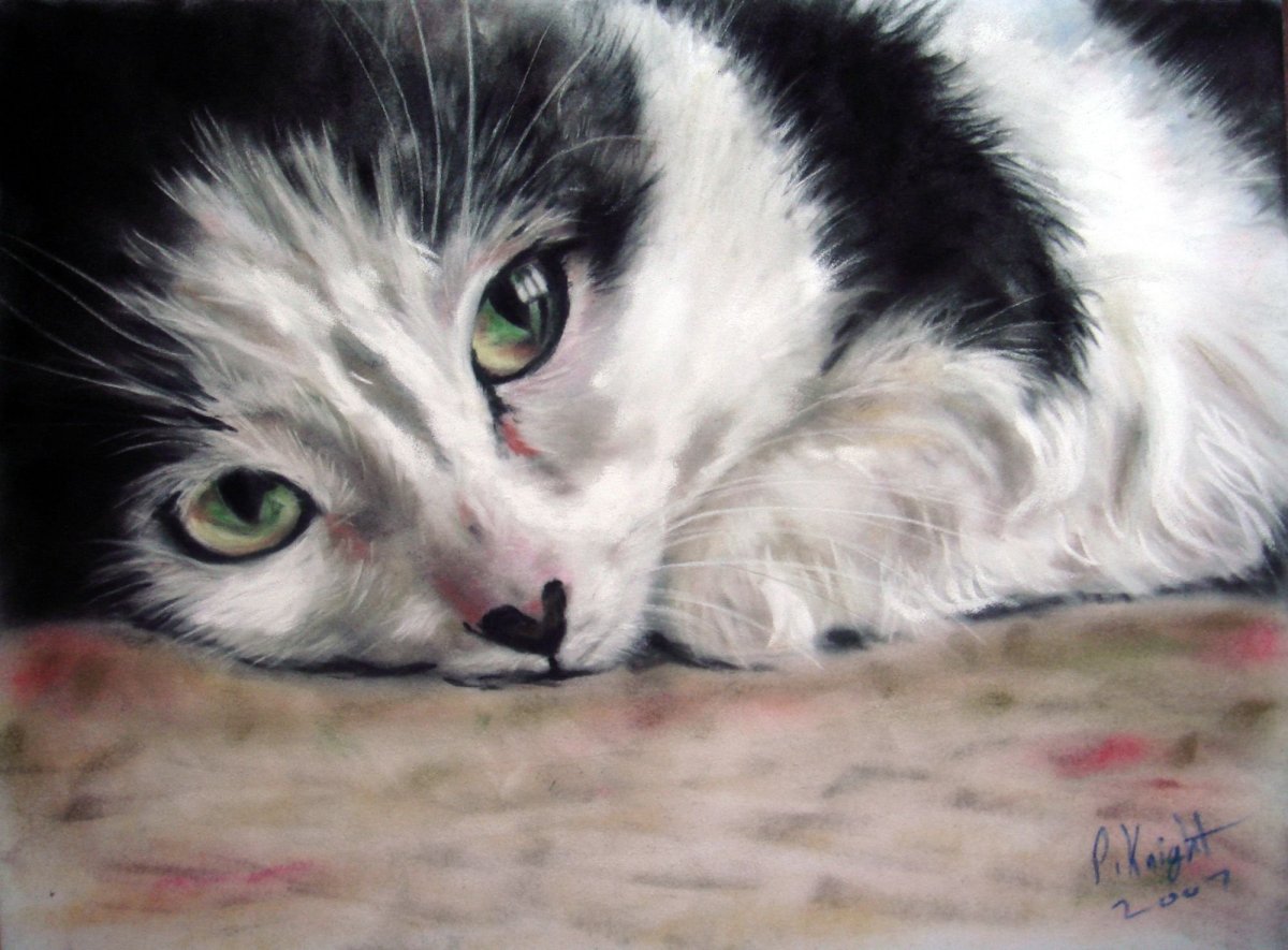 Котенок реалистичный рисунок