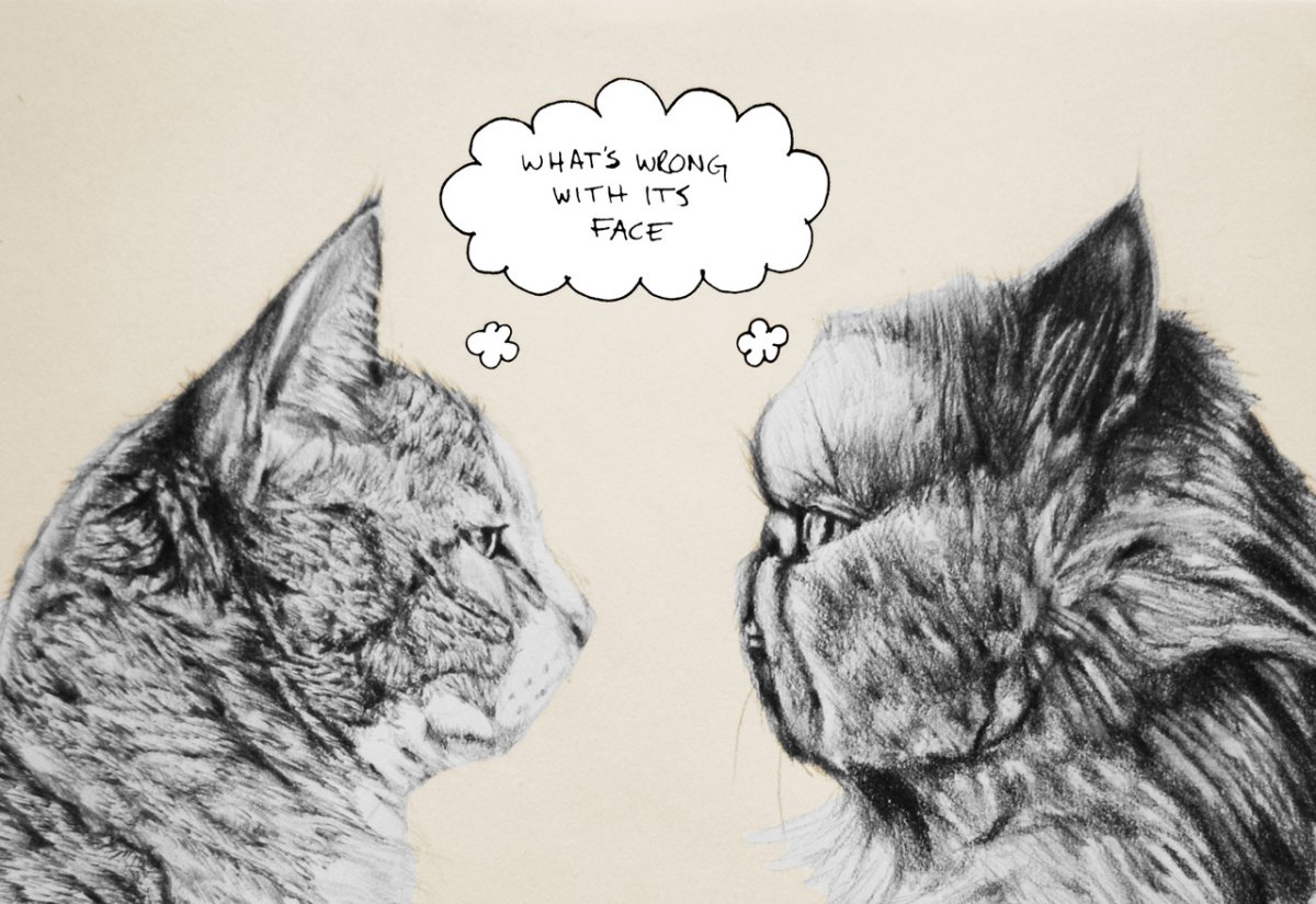 Рисунки грустных котов