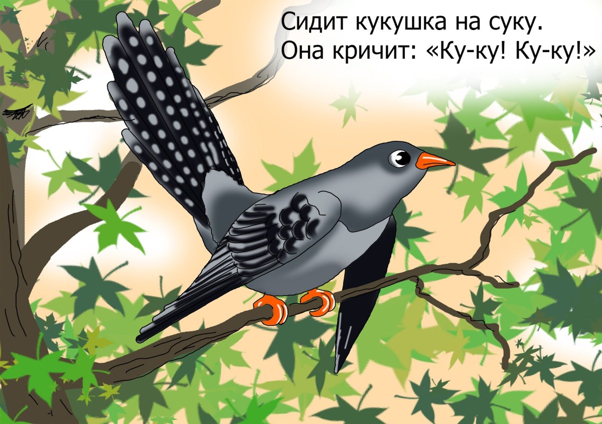 Кукушка для детей