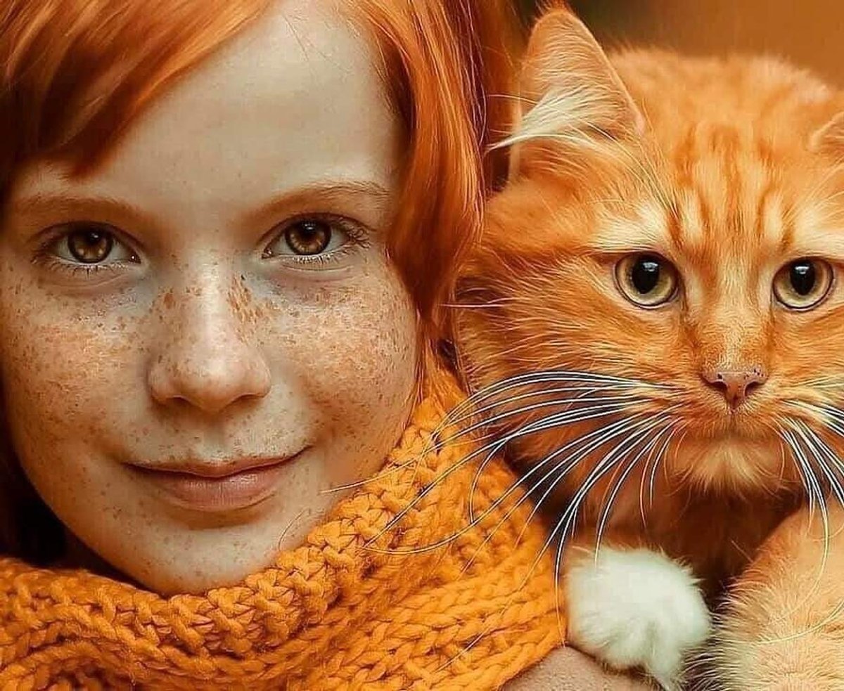 Рыжие коты с веснушками