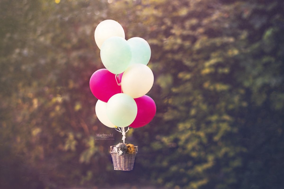 Шарики с фотографиями