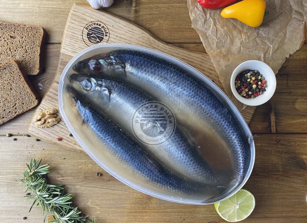 Сельдь атлантическая сельдь