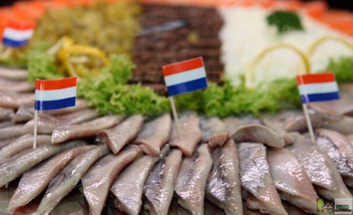 Голландская селедка Харинг
