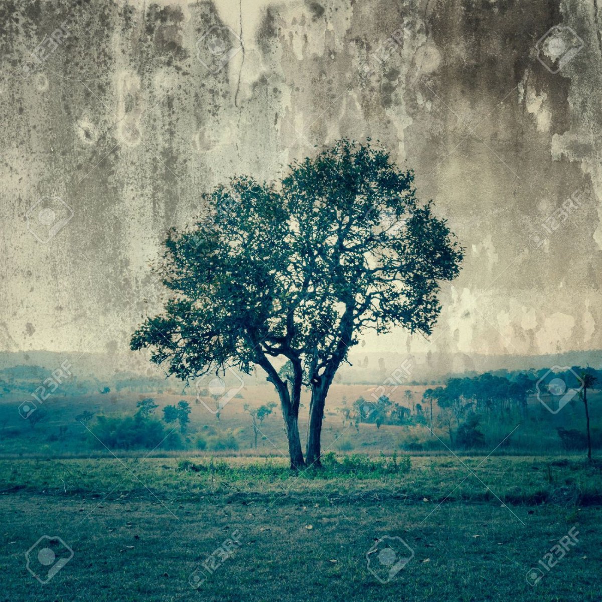 Дерево посреди озера