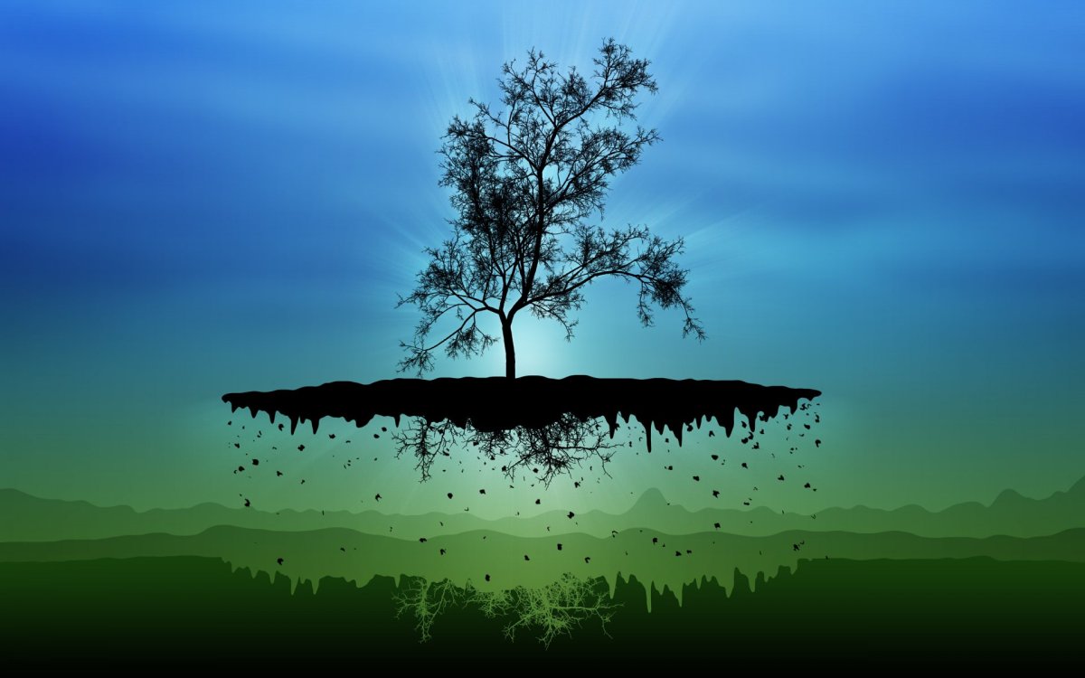 Одинокое серое дерево