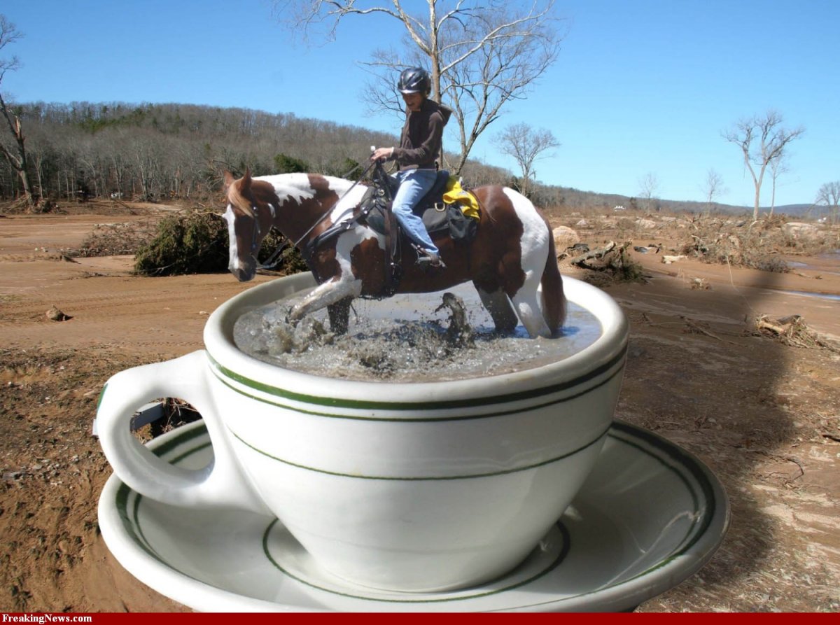 Доброе утро с лошадками