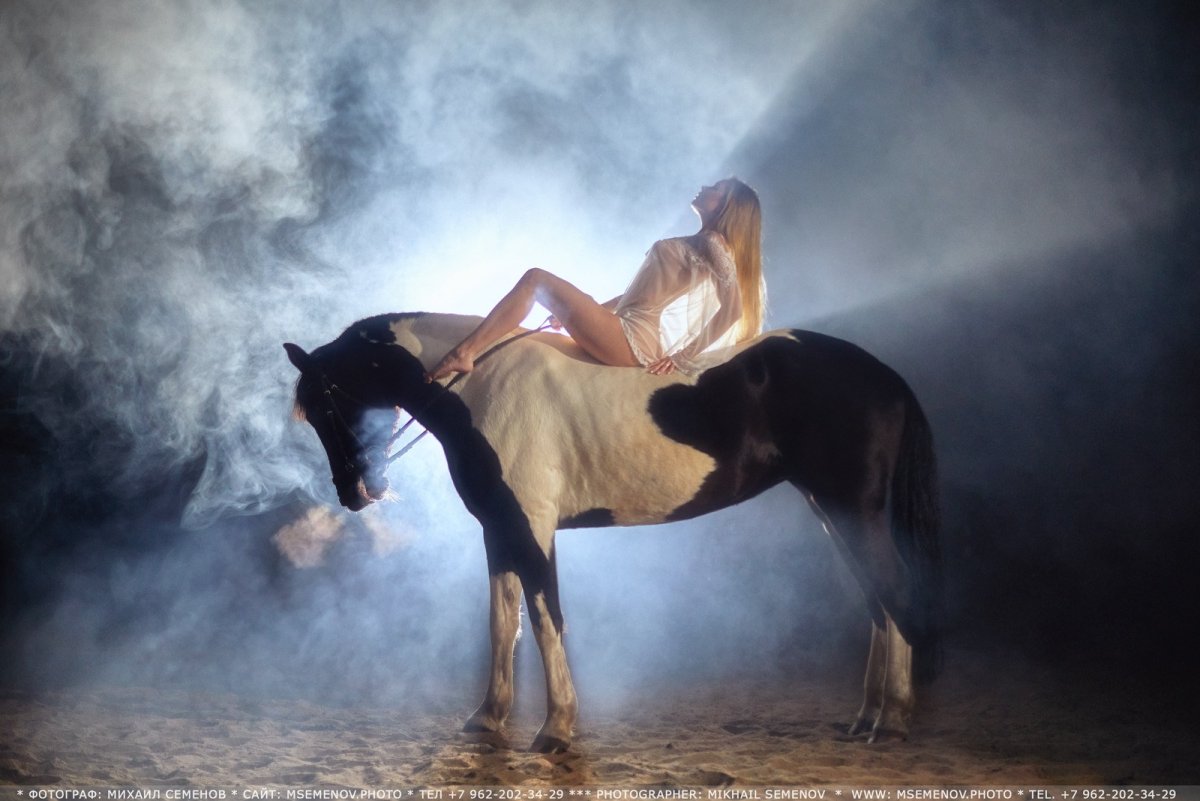 Лошадь в подсолнухах