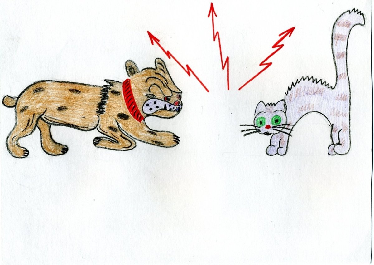 Фразеологизмы в картинках