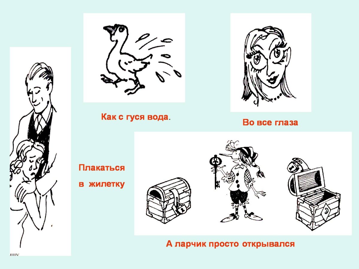 Фразеологизмы с себя