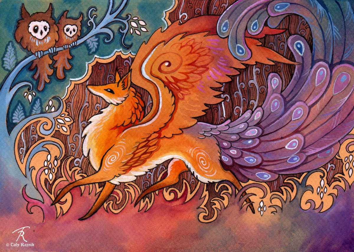 Лисы и Совы